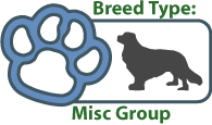 Misc Dog Breeds